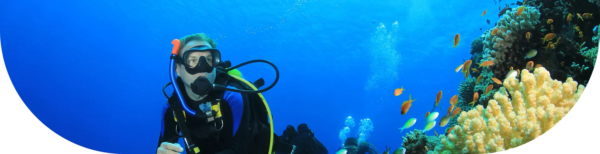 Professional Courses for Beginners and Advanced Divers