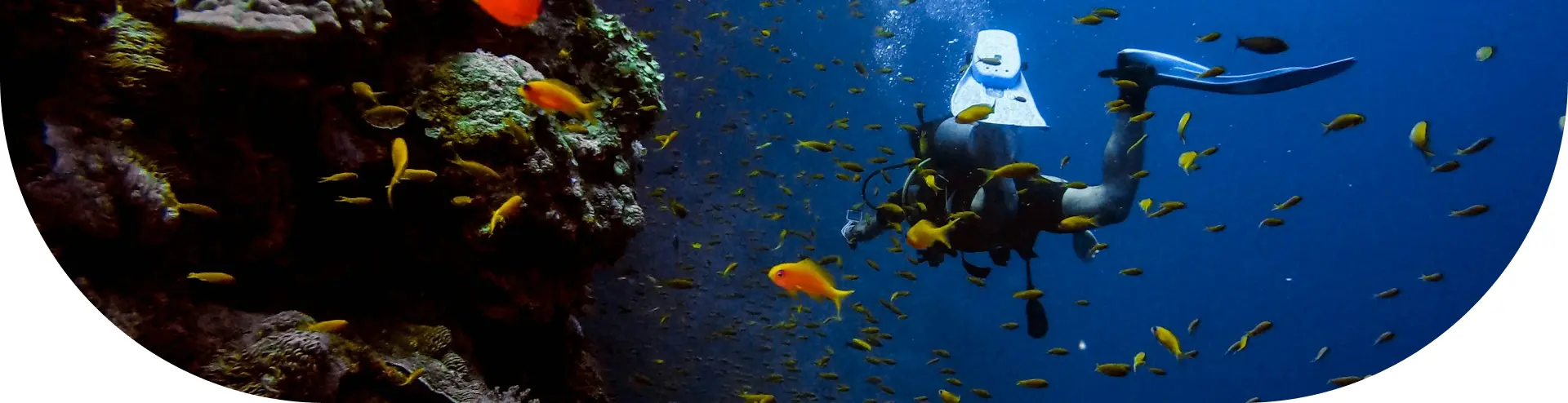 Explore Sharm el-Sheikh’s most beautiful dive sites