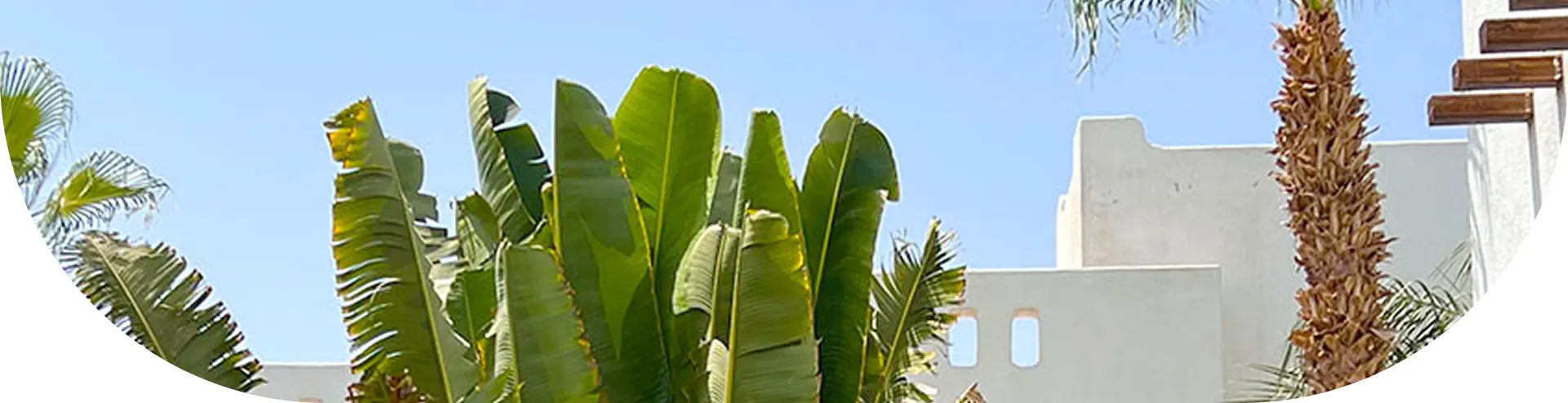 Dive and stay accommodation at Sunshine Divers