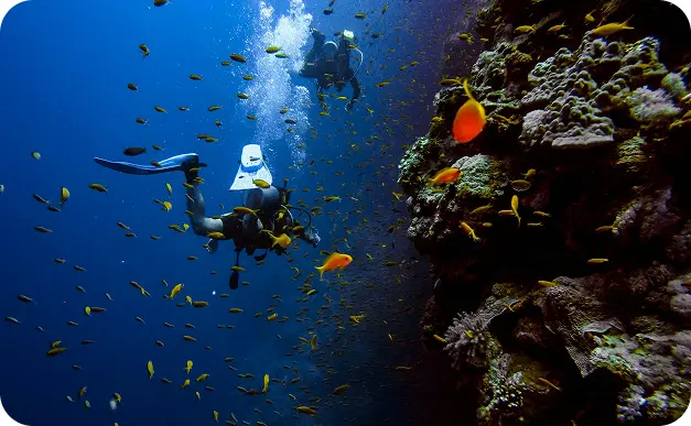 PADI Open Water Diver