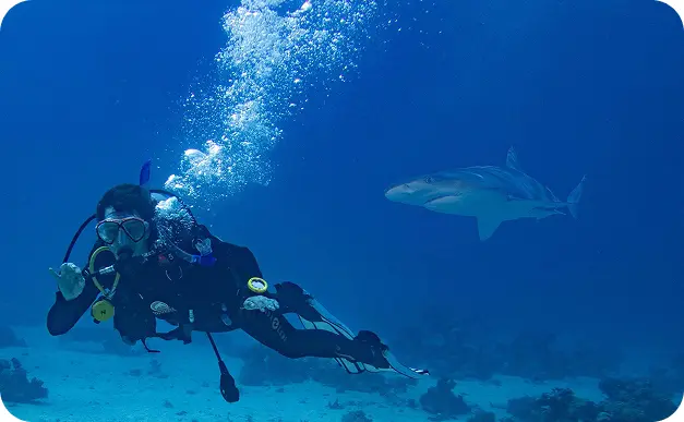 PADI Open Water Diver