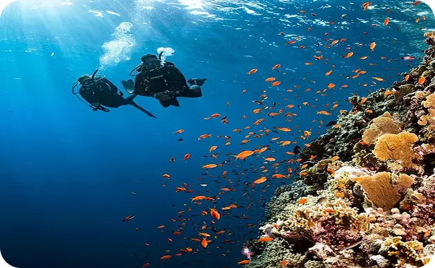 PADI Open Water Diver