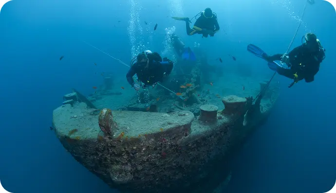 Divers exploring in the Red Sea