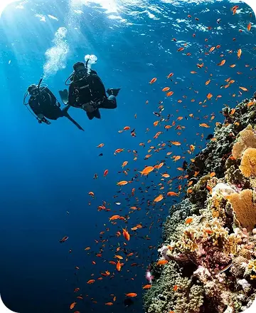 5-Day Dive Package