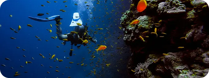 Snorkeling at local reefs near Sharm El Sheikh